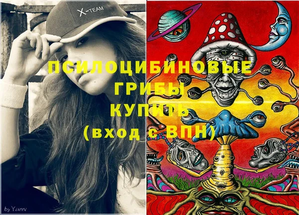 прущие грибы Абинск