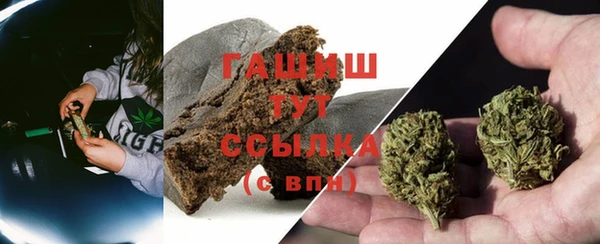прущие грибы Абинск